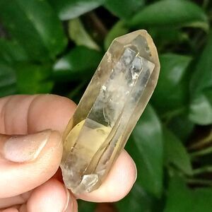 Citrine Crystal Point - 2" - Home Office Garden Decor Jewelry Making